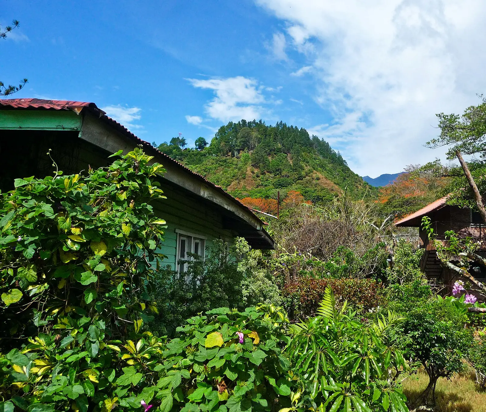 Casa de madera entre el jardín de Boquete